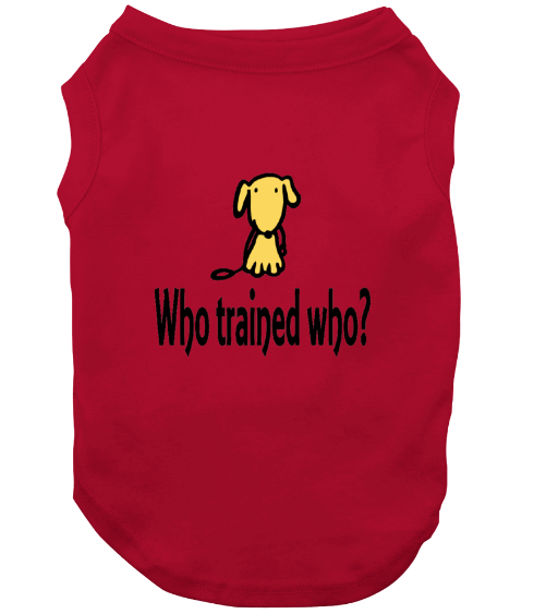 Every Day Swag SwagNWags