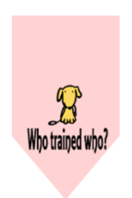 Who Trained Who?