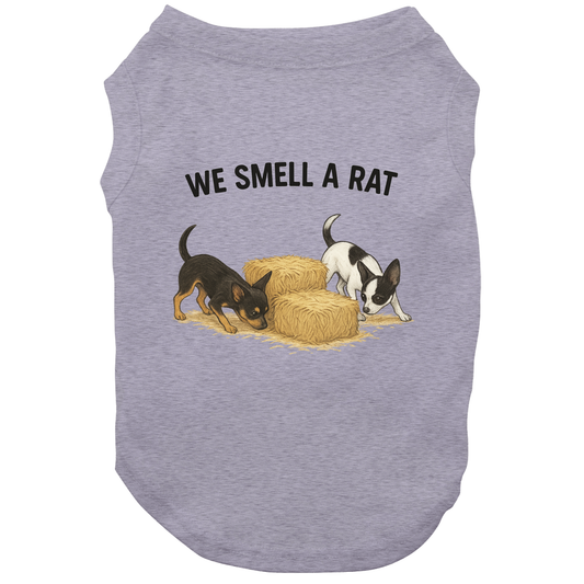 We Smell A Rat-Chihuahua