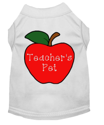Teacher's Pet